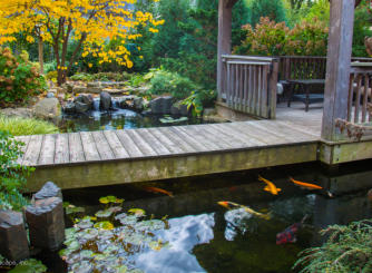 Bridge over swimming pond