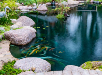 Large rocks with fish in a swimming pond