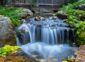 Medium Waterfall swimming pond