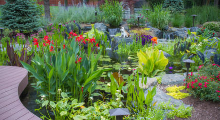 large wildlife pond with decking