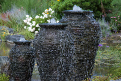 planted up wetland