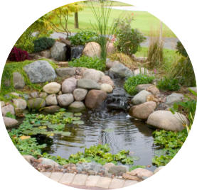 small wildlife pond