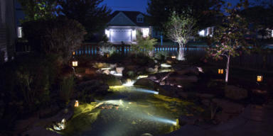 wildlife pond with lights