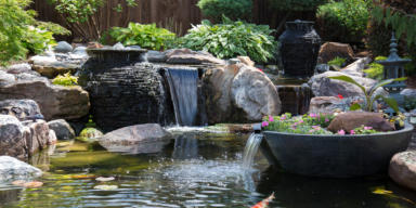 wildlife pond with waterfall